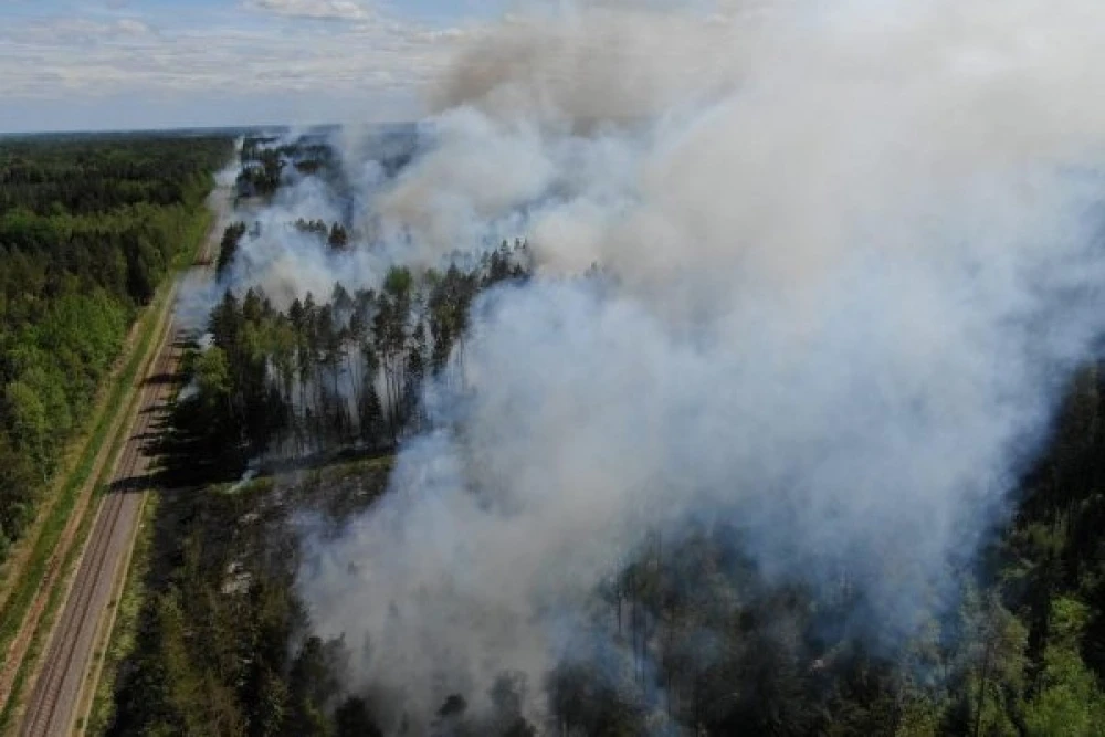 Latvijas mežu ugunsgrēki: cēloņi, sekas un aizsardzība